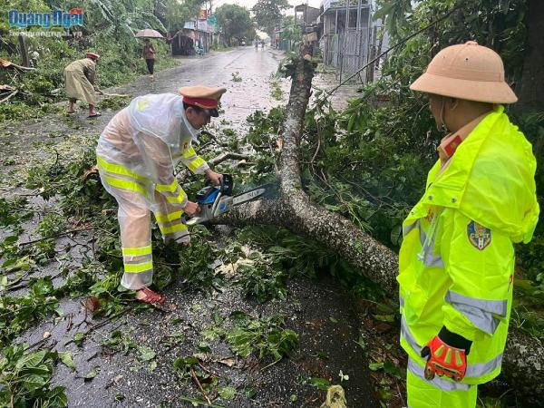 Lực lượng CSGT tỉnh khẩn trương dọn cây ngã đổ