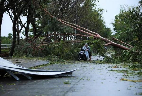 Đường ngập, trường học và nhà cửa tốc mái, cây cối gãy đổ sau bão Noru