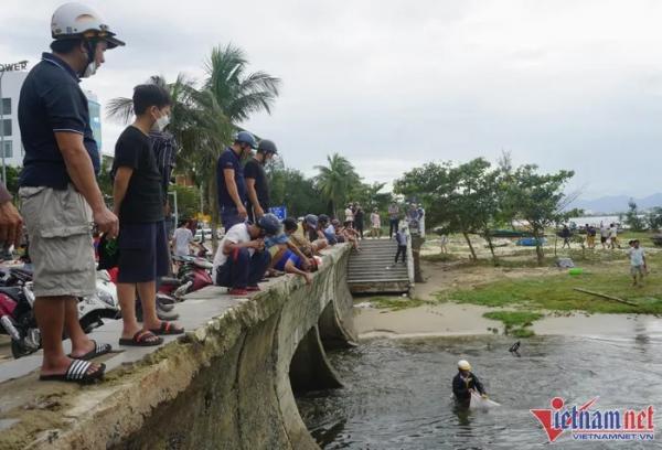 Dân Đà Nẵng bắt cá nước ngọt bên bờ biển sau bão Noru