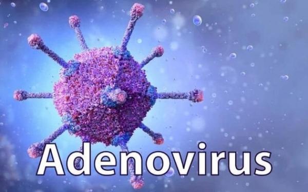 Bình Thuận bác bỏ thông tin có 8 ca mắc virus Adeno