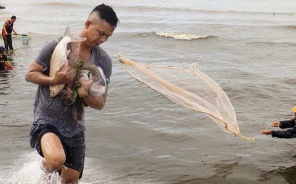 Nghề độc chỉ có sau bão ở Đà Nẵng: Ra biển “săn” cá nước ngọt “khủng”