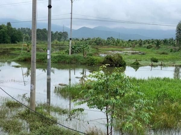 Hà Tĩnh: Nước lũ rút, phát hiện th‌i th‌ể người đàn ông bên cánh đồng
