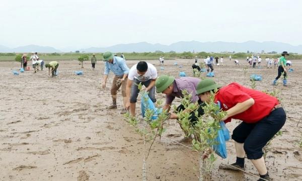 13.000 hộ dân và chủ rừng ở Quảng Ninh được trả tiền từ những dịch vụ của rừng