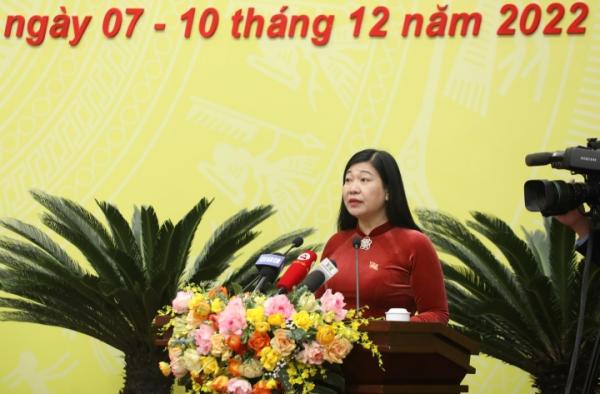 Cử tri Hà Nội lo lắng việc thiếu trường học trong các quận nội thành