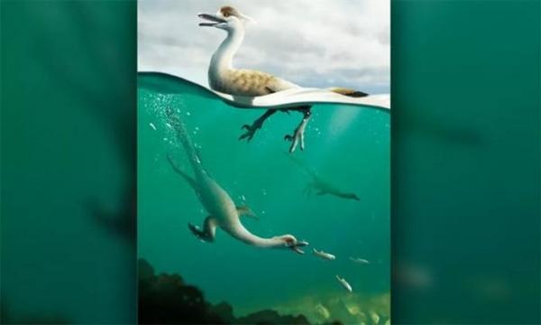 Kinh ngạc loài khủng long “lai tạp”, giống cả chim cánh cụt lẫn ngỗng