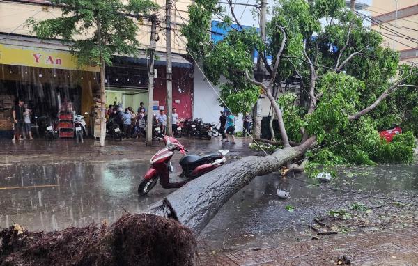 Người phụ nữ bị cây xanh đổ đè ngang người đã được xuống Tp.HCM điều trị