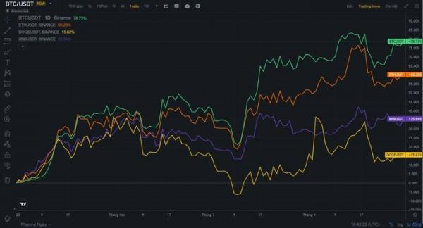 Chu kỳ tăng giá mới của Bitcoin