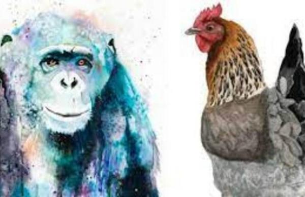 Chúc mừng nhà nào có 3 con giáp này, 14 ngày tới may mắn nhân đôi, tài lộc tăng tiến