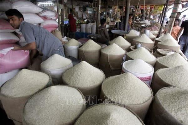 Thị trường nông sản: Giá lúa tăng/giảm trái chiều