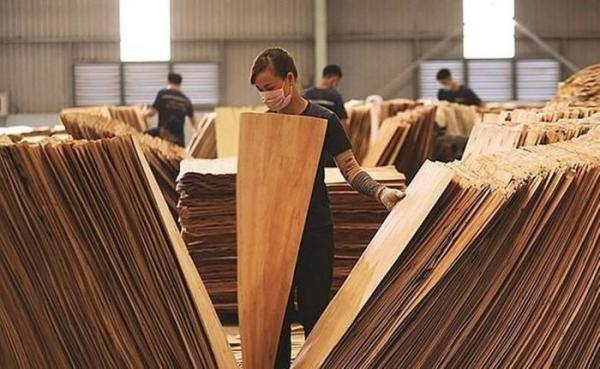 Mỹ gia hạn kết luận chống lẩn tránh thuế với gỗ dán và pin năng lượng mặt trời Việt Nam