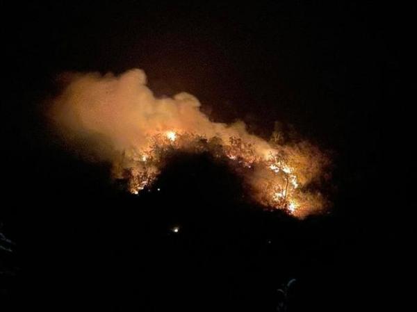 Gần 100 người tham gia khống chế cháy rừng trong đêm