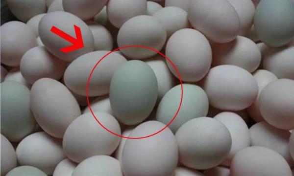 Trứng vịt có quả xanh quả trắng: Nên chọn vỏ màu gì là bổ nhất?