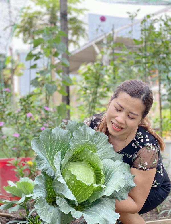 Trồng vườn rau xanh mướt, người phụ nữ hơn 10 năm không phải mua rau ngoài chợ