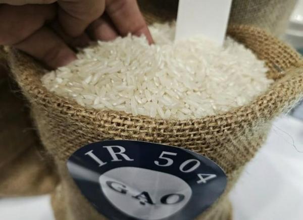Lý do giá gạo xuất khẩu Việt Nam đột ngột rời đỉnh