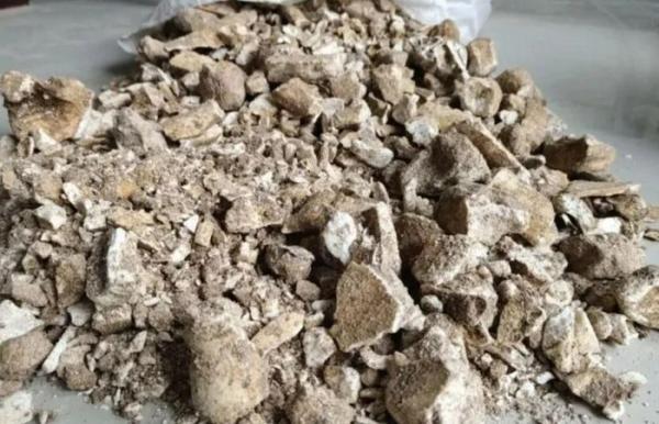 Tục dùng “xương rồng” thúc đẩy nạn săn trộm hóa thạch ở Trung Quốc