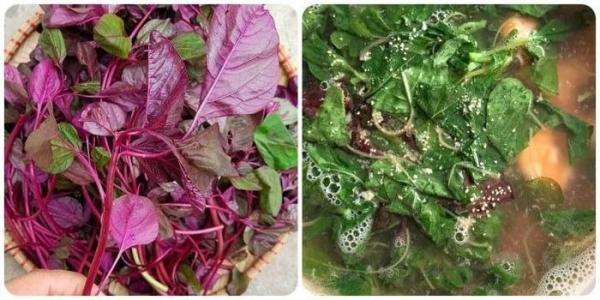 Loại rau “bổ hơn thịt, rẻ như cho” được mệnh danh là thần dược cho sức khỏe
