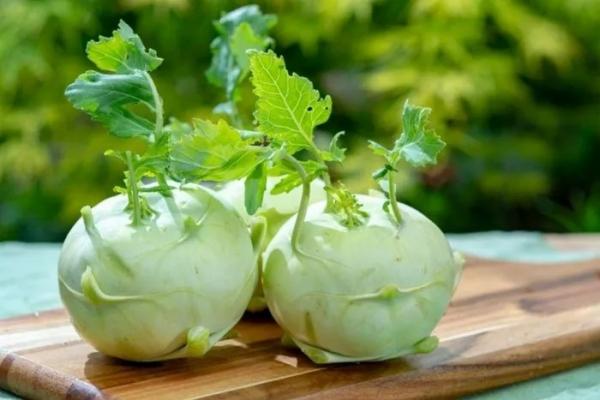 Su hào: “thần dược” cho sức khỏe mùa đông