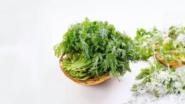 Loại rau chỉ có ở mùa đông, ăn 1 lần bằng 10 lần uống bồ công anh, không chỉ bổ gan còn ngủ ngon