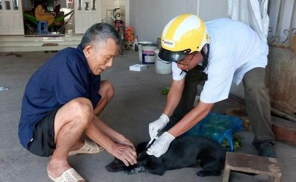 Phát hiện ổ dại thứ 5 trên chó tại một huyện ở Đồng Nai
