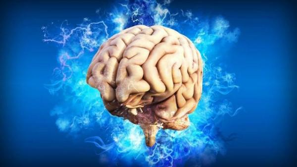 Các nhà khoa học Nga phát triển “bộ não mini” để nghiên cứu nhận thức con người