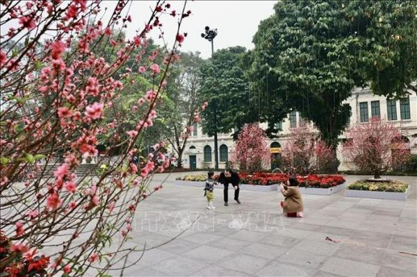 Thời tiết thuận lợi cho nhân dân vui Xuân đón Tết