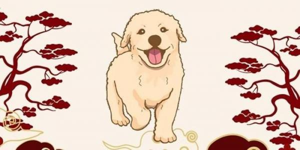 5 con giáp may mắn tình duyên trong năm Giáp Thìn: Tuổi Hợi mặt nào cũng tốt