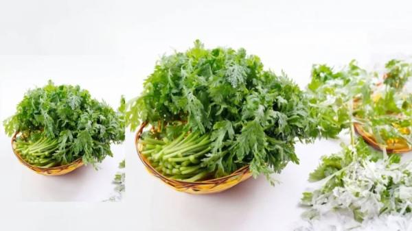 Ngày Tết nhớ mua rau này, ăn 1 lần bằng 10 lần uống bồ công anh, giúp ngủ ngon, không sợ nóng trong người