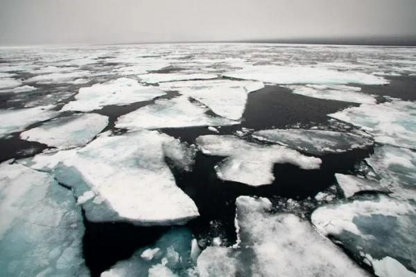 Bắc Cực sẽ không còn băng vào mùa hè?