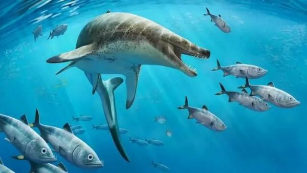 Xuất hiện loài mới: Bò sát biển “ác mộng” dài 8 m