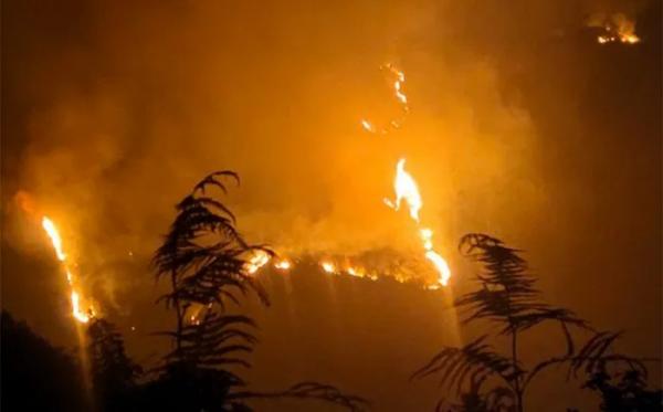 Mù Cang Chải khống chế thành công đám cháy rừng ở bản Dào Cu Nha và Hú Trù Lình