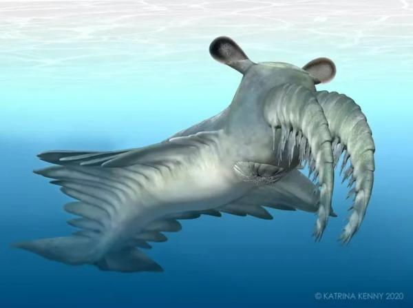 Rợn người loài thủy quái khổng lồ đáng sợ nhất đại dương