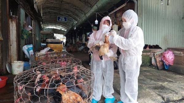 Phát hiện bệnh nhân đầu tiên mắc cúm A/H9 tại Việt Nam