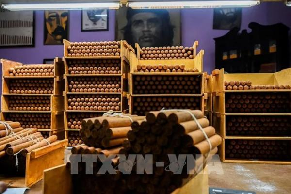 Giá một số sản phẩm thu‌ốc l‌á và xì gà của Cuba tăng từ 100% đến 300%