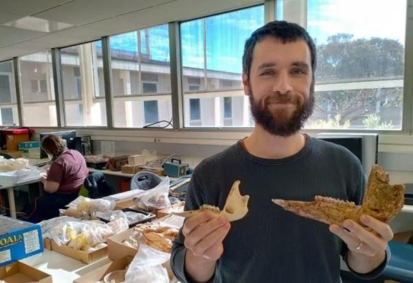 Australia phát hiện hóa thạch 3 loài chuột túi khổng lồ đã tuyệt chủng