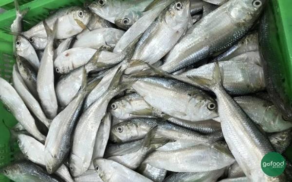4 loại cá giàu omega 3 bậc nhất, bổ tim chắc xương, bổ như tổ yến: Ở Việt Nam bán đầy ngời chợ