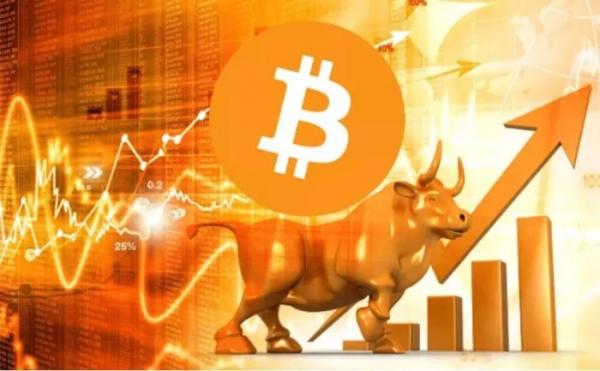Danh tính 5 cá nhân sở hữu nhiều Bitcoin nhất thế giới