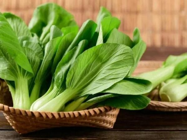 Loại rau giá rẻ được ví như nhân sâm đầu mùa, trồng vô cùng nhiều ở Việt Nam