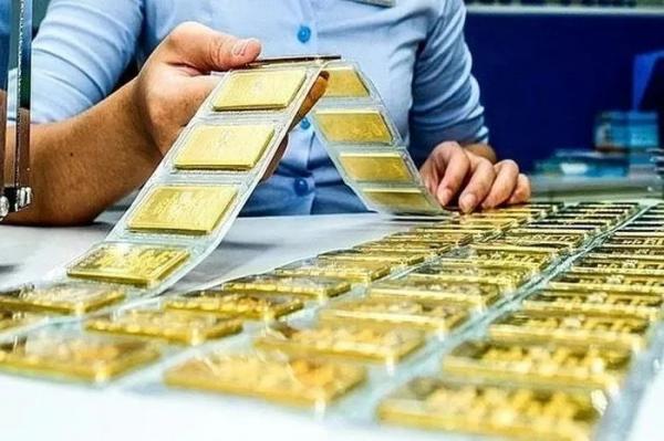 Ngày mai tiếp tục đấu thầu vàng miếng, giá đặt cọc lần đầu giảm