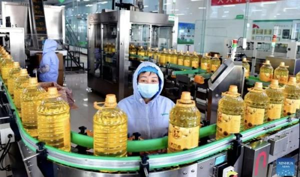 Dư luận Trung Quốc bất bình về bê bối thực phẩm mới liên quan đến dầu ăn