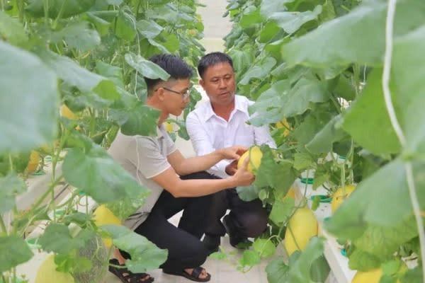 Kỹ sư Sinh học bỏ phố về vườn làm nông nghiệp công nghệ cao