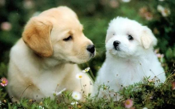 Vét cạn lộc Trời, 3 tuổi tiền đầy ví, vàng đầy kho suốt tháng 8