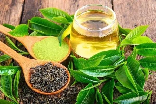 Bí kíp để nước trà tươi luôn xanh ngát