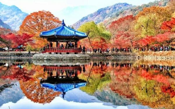 Du lịch Hàn Quốc hút khách chiêm ngưỡng sắc lá mùa thu đổi màu kỳ ảo