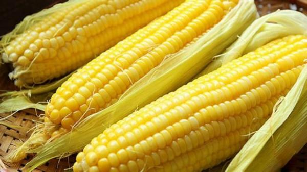 Thả thứ này vào luộc ngô: Món ăn thơm ngon, mềm tan ăn nhớ mãi