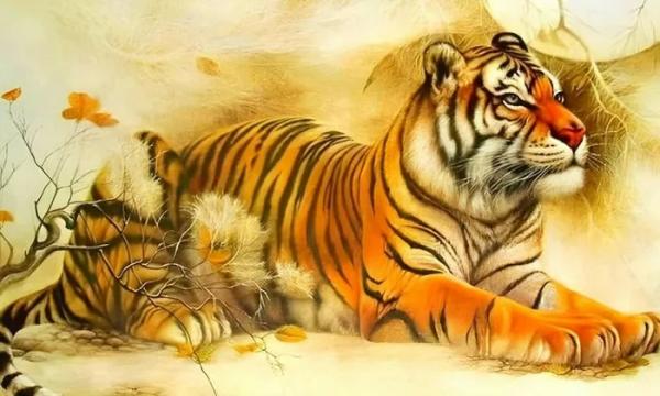 Chúc mừng 5 tuổi phúc báu tề tựu, tiền vây quanh sau 29/10