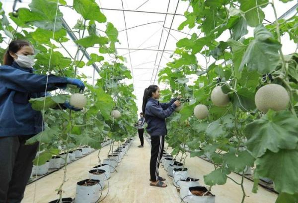 Những chính sách mới nổi bật có hiệu lực trong tháng 10/2024