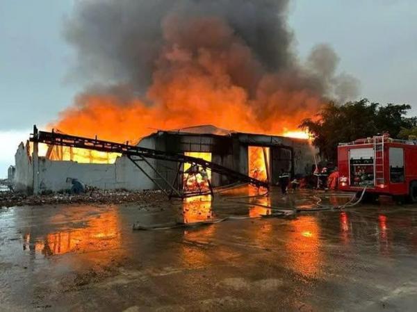 Cháy lớn tại xưởng sản xuất thức ăn chăn nuôi lúc rạng sáng, thiệt hại cả trăm tỉ đồng