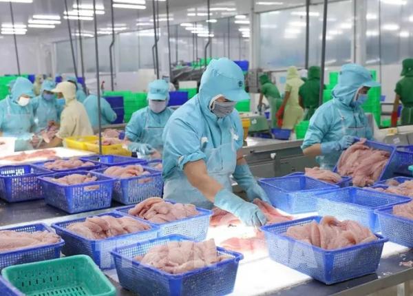 Cơ hội và thách thức cho thủy sản Việt Nam tại thị trường Mỹ