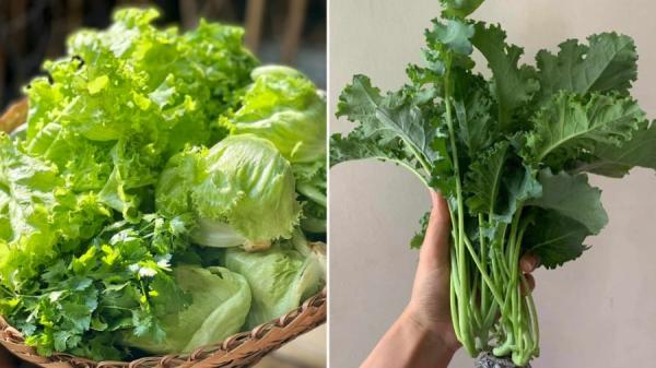 5 loại rau bổ dưỡng, giúp điều hoà đường huyết, giảm mỡ bụng