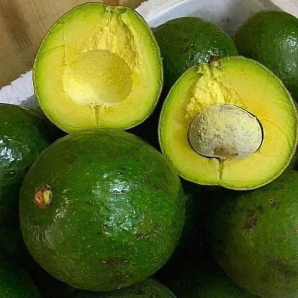 6 loại thực phẩm giàu chất xơ giúp kiểm soát cholesterol